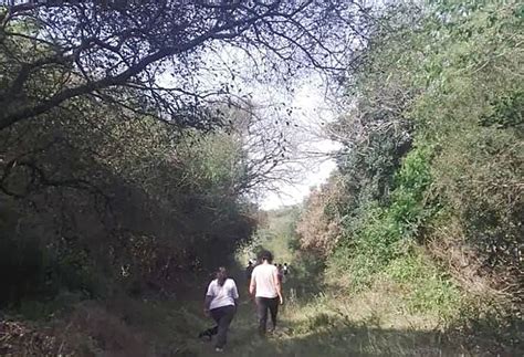 Piden que los chicos vuelvan al naranjal donde, según uno de .
